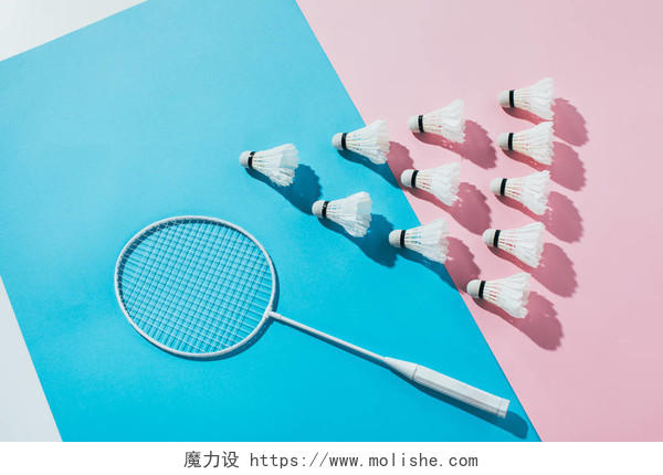 蓝色和粉红色纸上的羽毛球拍和羽毛球